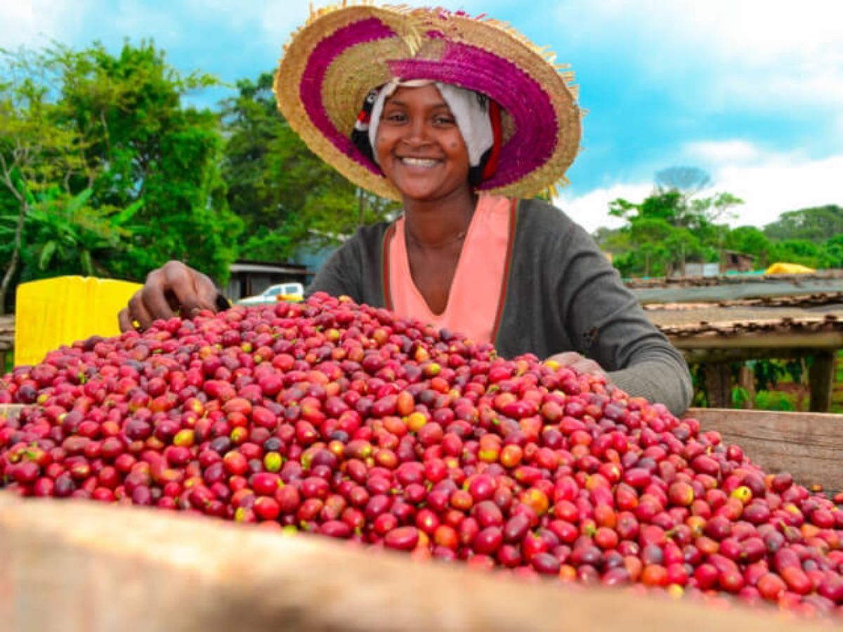 エチオピアアナエロビック&ルワンダハニー各200g合計400g自家焙煎コーヒー豆