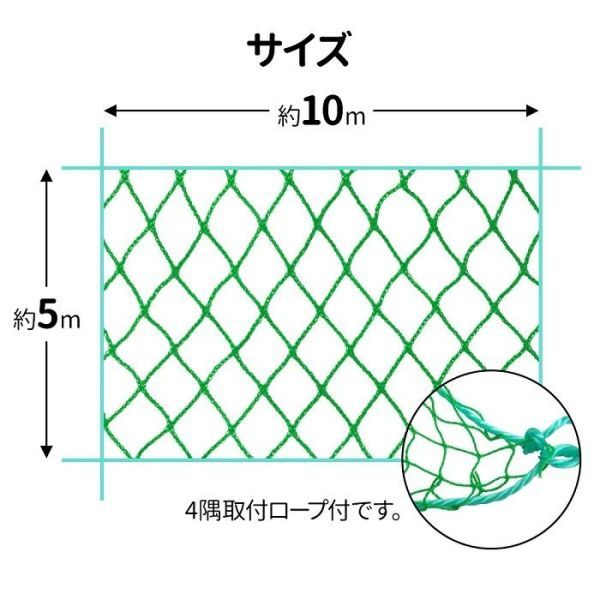 養生ネット グリーンネット 5m×10m 25mm目 防球ネット 折りたたみ 鳥よけネット グリーン 野球 防鳥ネット カラス グリーンネットフェンスの画像2