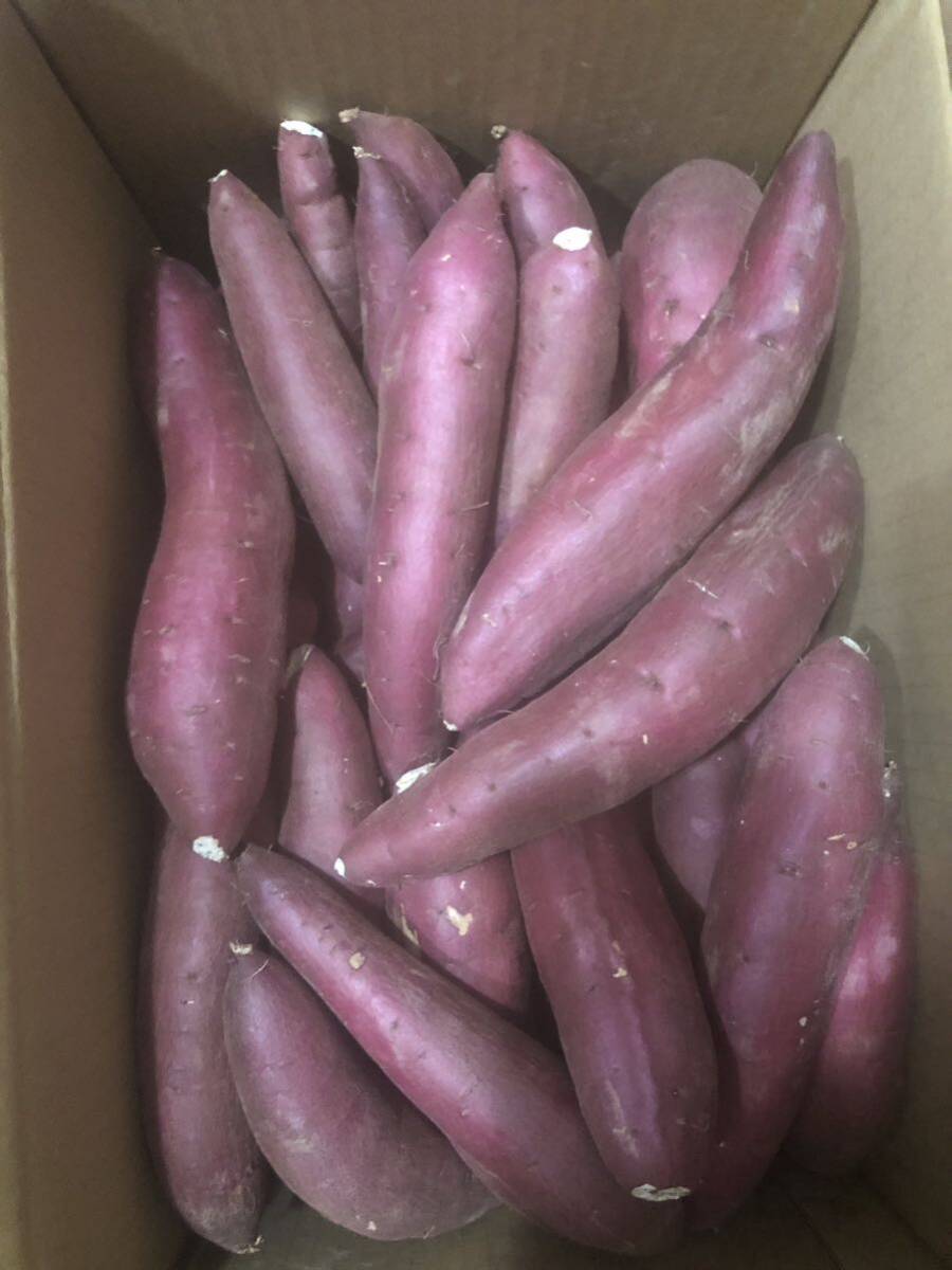 630. Okinawa remote island exclusive use . bargain Ibaraki prefecture production sweet potato, silk sweet box included 5kg