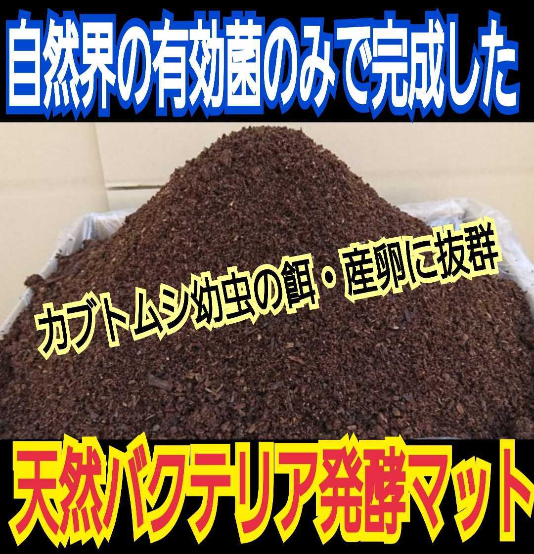 40gを超える国産カブト幼虫がゴロゴロでてきたオオヒラタケ菌床自然発酵カブトムシマット☆天然の有効菌のみで仕上がったバクテリアマットの画像2