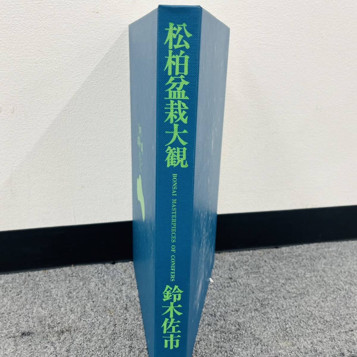 G220-Z13-206 誠文堂新光社 松柏盆栽大観 鈴木佐市 箱付き 盆栽 ブック 芸術 趣味 書籍 書物 ②の画像3