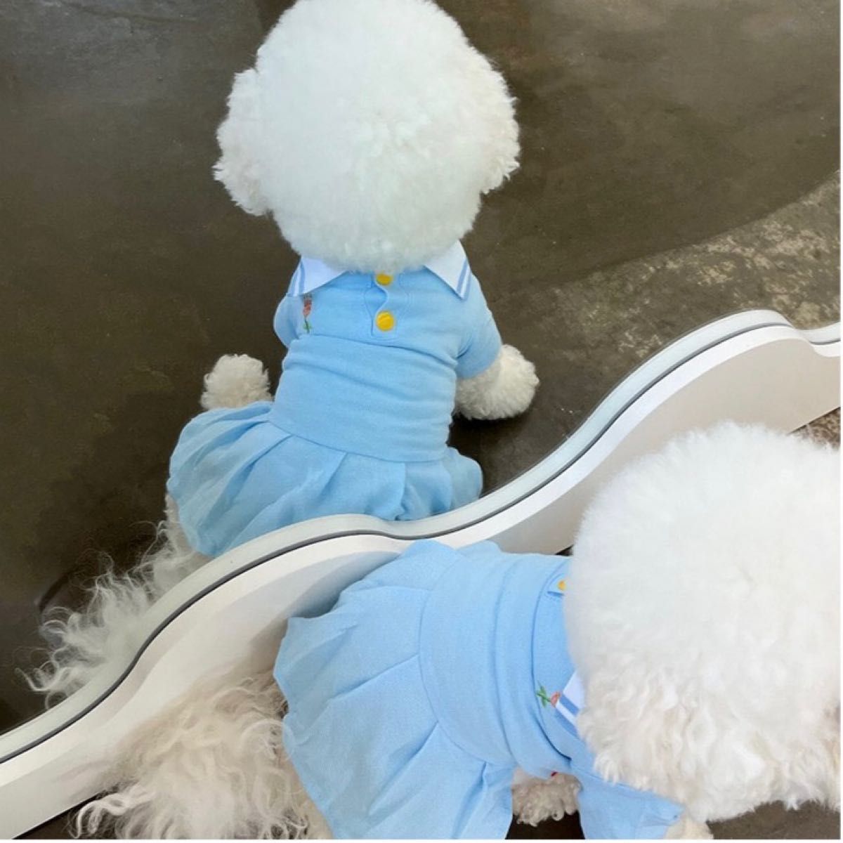小型犬 犬服 春 夏 秋 ポロシャツ ワンピース ポロシャツワンピ ブルー 青 水色 Mサイズ M