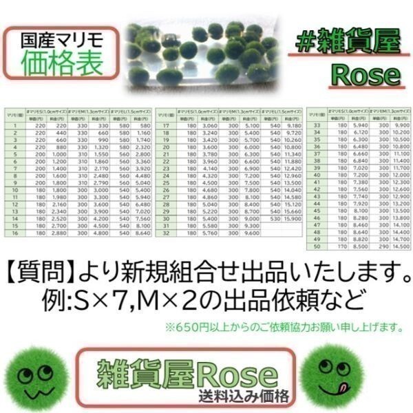 【国産まりも1,200円分】混植可能 有茎草 水草一番サンド_画像4