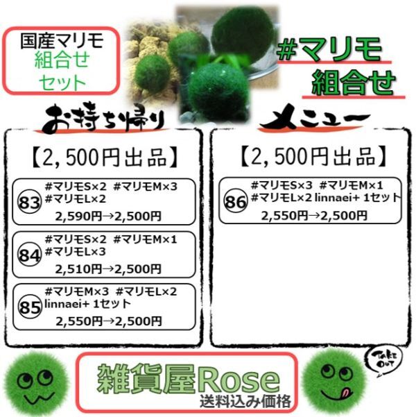 【国産まりも2,500円分】混植可能 金魚藻 ホテイ草 ブセファランドラsp.グリーンブルーベルベット_画像2