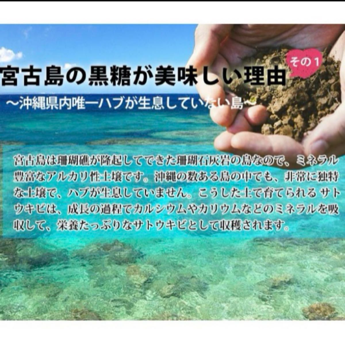 沖縄♪宮古島☆多良間産の無添加純黒糖 2024年度生産