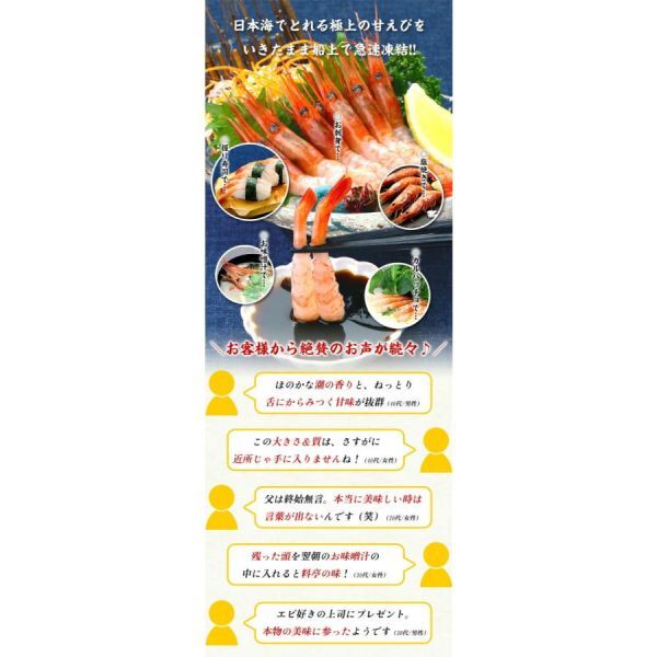  Japan sea. . sashimi northern shrimp 1.5kg *. keep *. less selection un- possible ........ sea .ama shrimp 