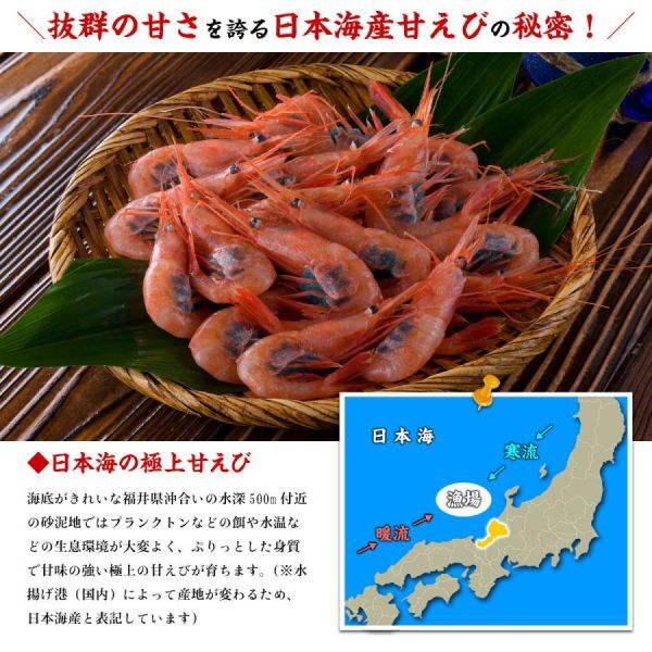  Japan sea. . sashimi northern shrimp 500g *. keep *. less selection un- possible ........ sea .ama shrimp 