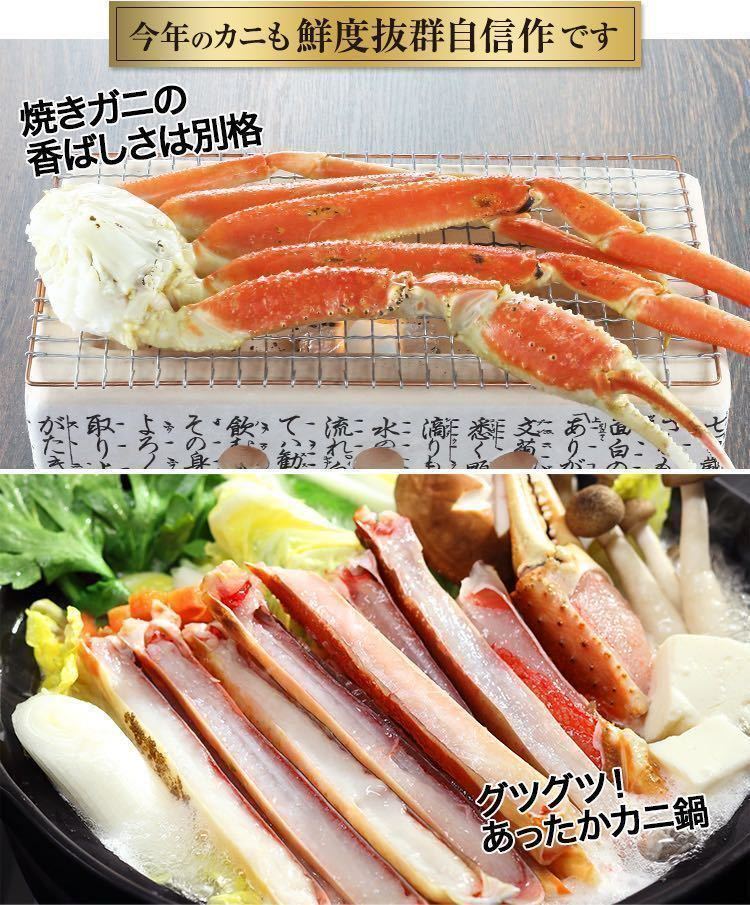 【送料無料】ボイルズワイガニ 5kg(19肩〜24肩入) 2Lサイズの画像2