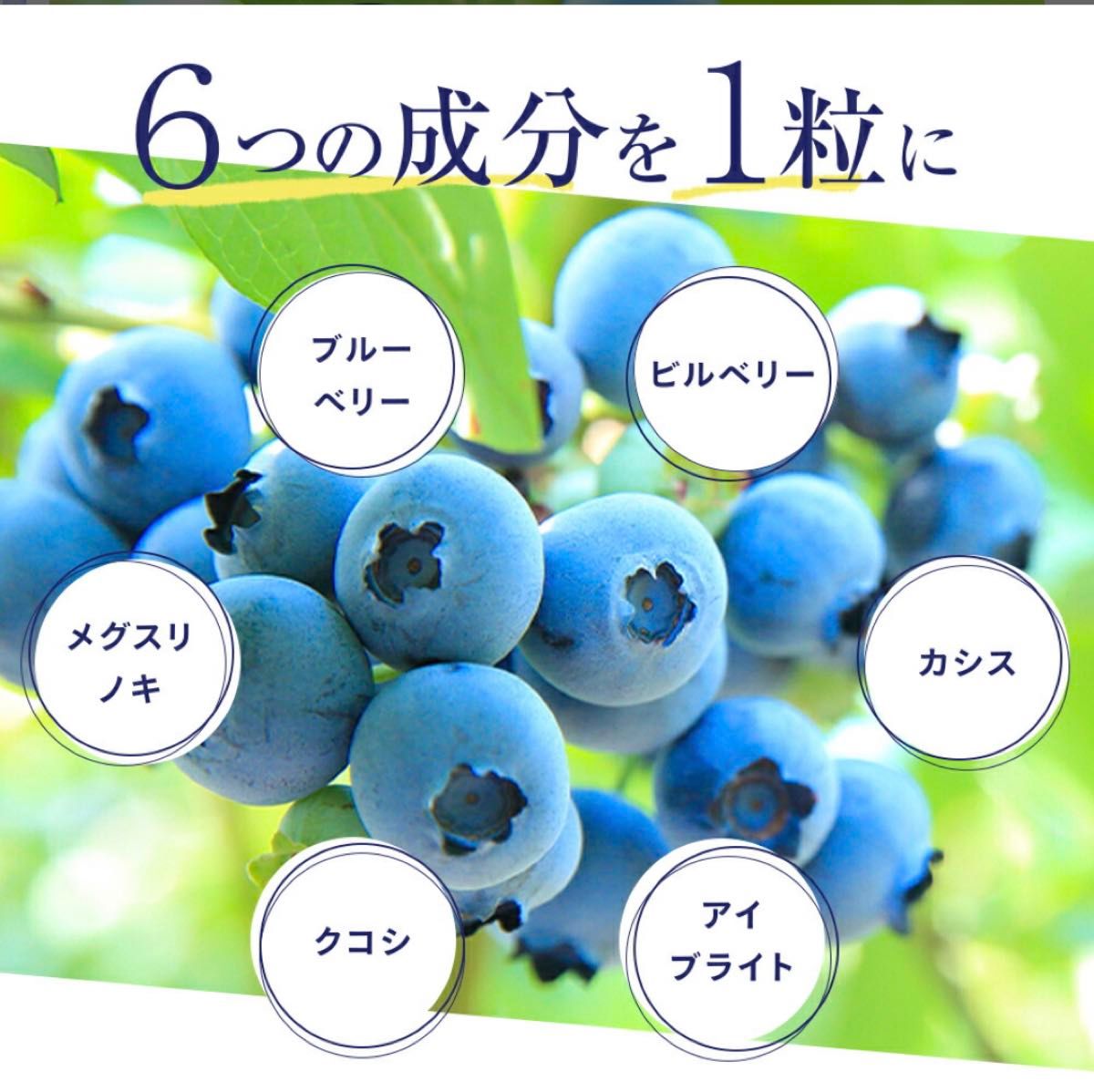479☆ ブルーベリー 約3ヵ月分 シードコムス サプリメント　サプリ