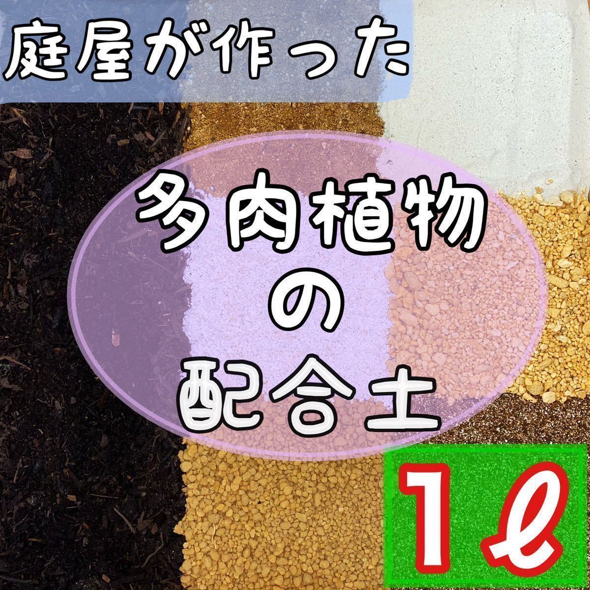 ◎庭屋が作った多肉用配合土◎ 1リットル 多肉植物　サボテン　挿木　種まき　魂根植物　観葉植物_画像1