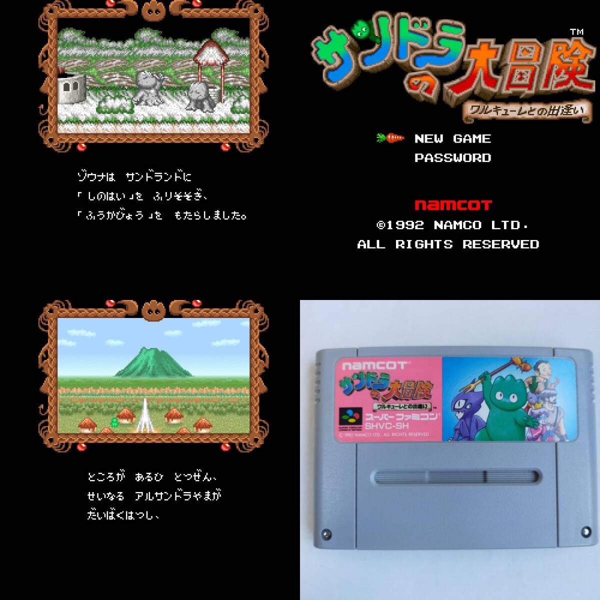 サンドラの大冒険 スーパーファミコン 動作確認済・端子清掃済[SFC6393_535]