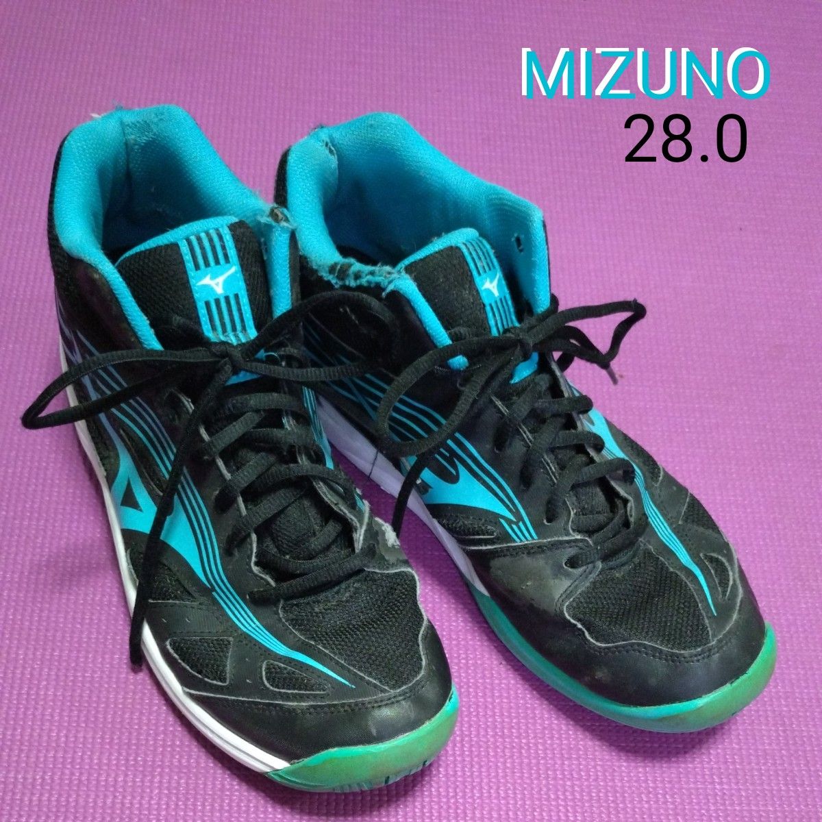 MIZUNO シューズ バレーボール サイクロンスピード バレーボールシューズ 28 28.0 練習 練習用