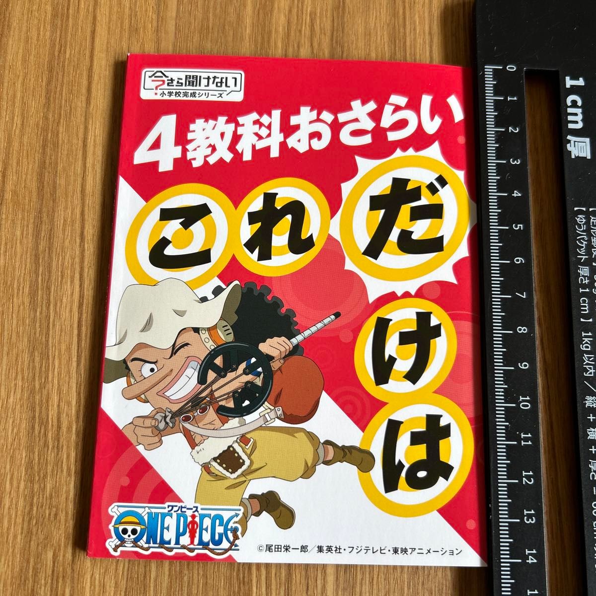 チャレンジ　中学校　1年生　暗記カード　予想問題　新入生テスト　復習ワーク　復習辞典　おさらい　ワンピース　ONE PIECE