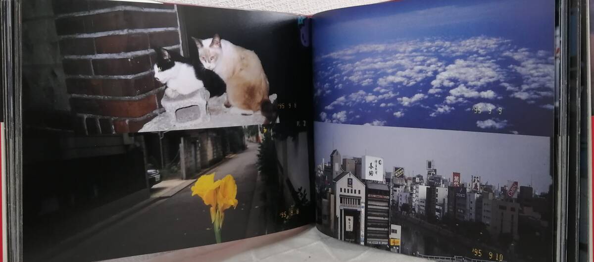 写■ 荒木経惟 A日記 NOBUYOSHI ARAKI 写真集 リブロポートの画像7