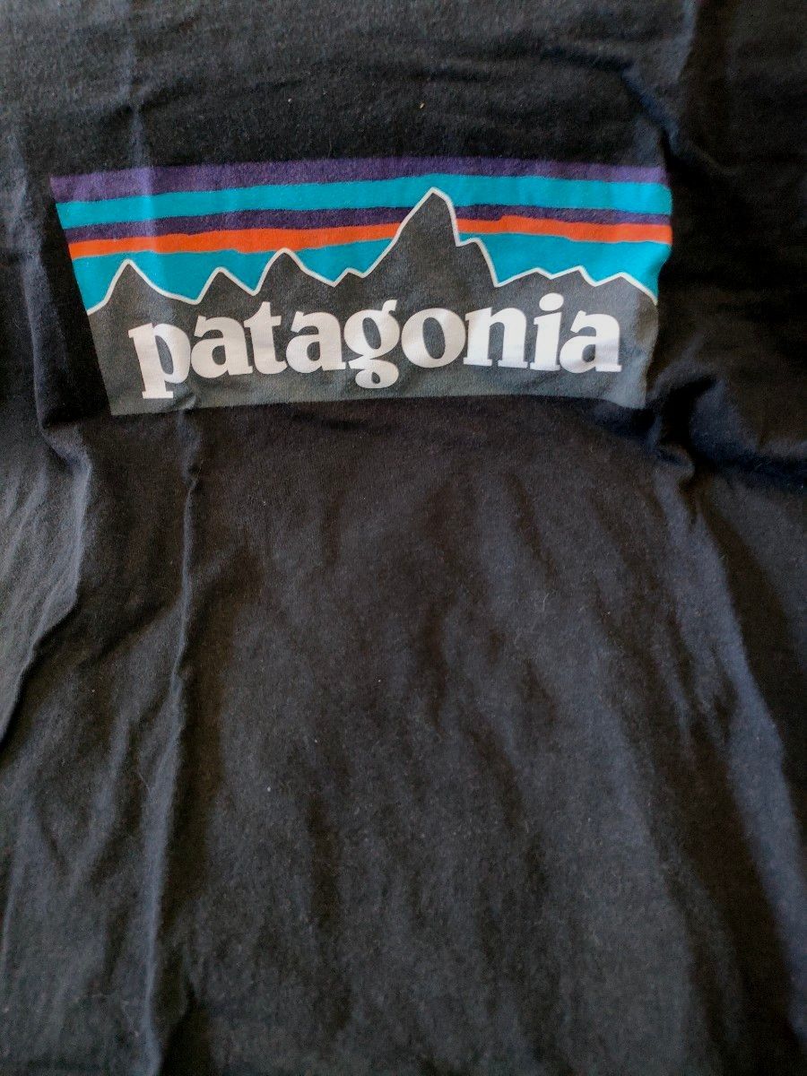 patagonia パタゴニア 半袖 Tシャツ ユニセックス  ブラック フロントロゴプリント