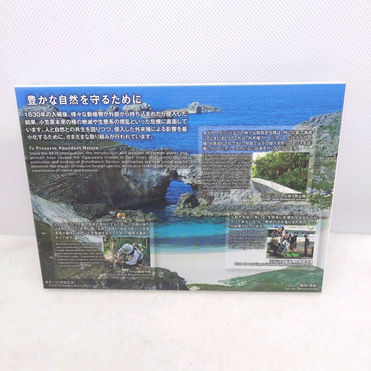 【L1】世界自然遺産貨幣セット 小笠原諸島 平成24年 JAPAN MINT コレクション品_画像4