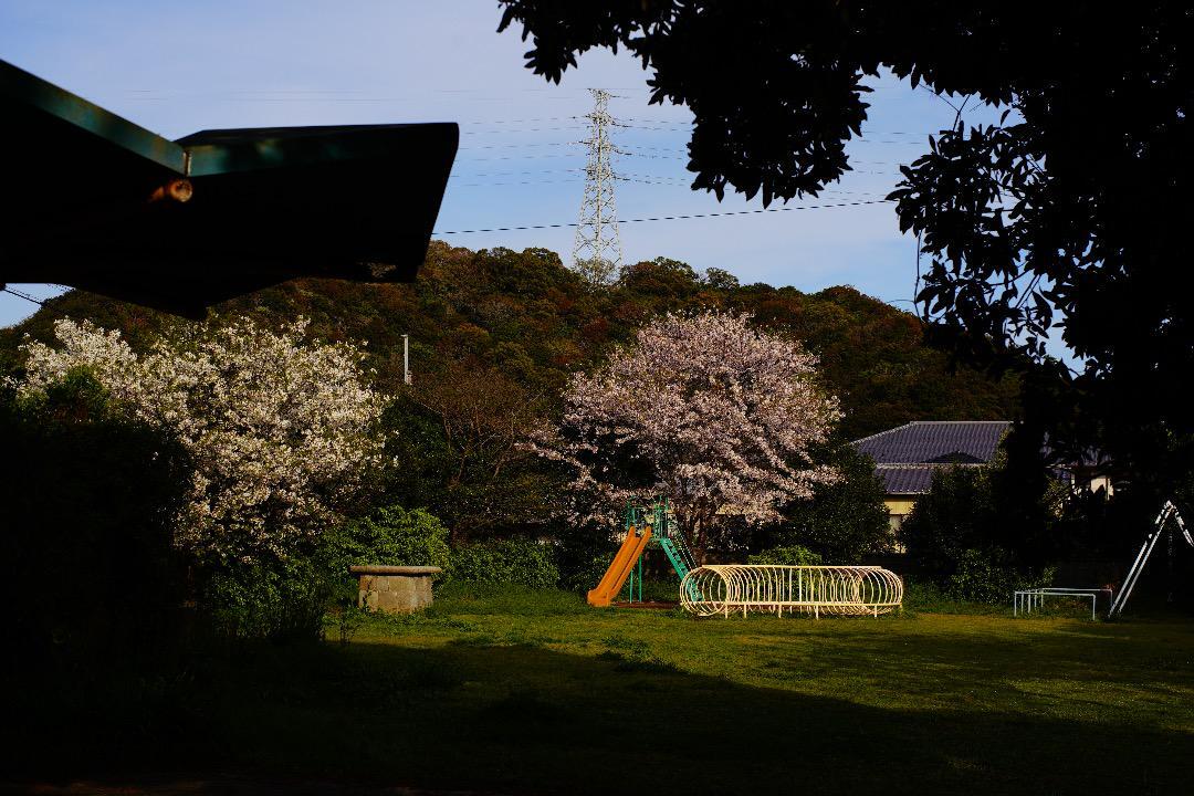 【虹色ゴースト】動作◎ Super Takumar 50mm F1.4. 後期 オールドレンズ M42 スーパータクマーの画像10