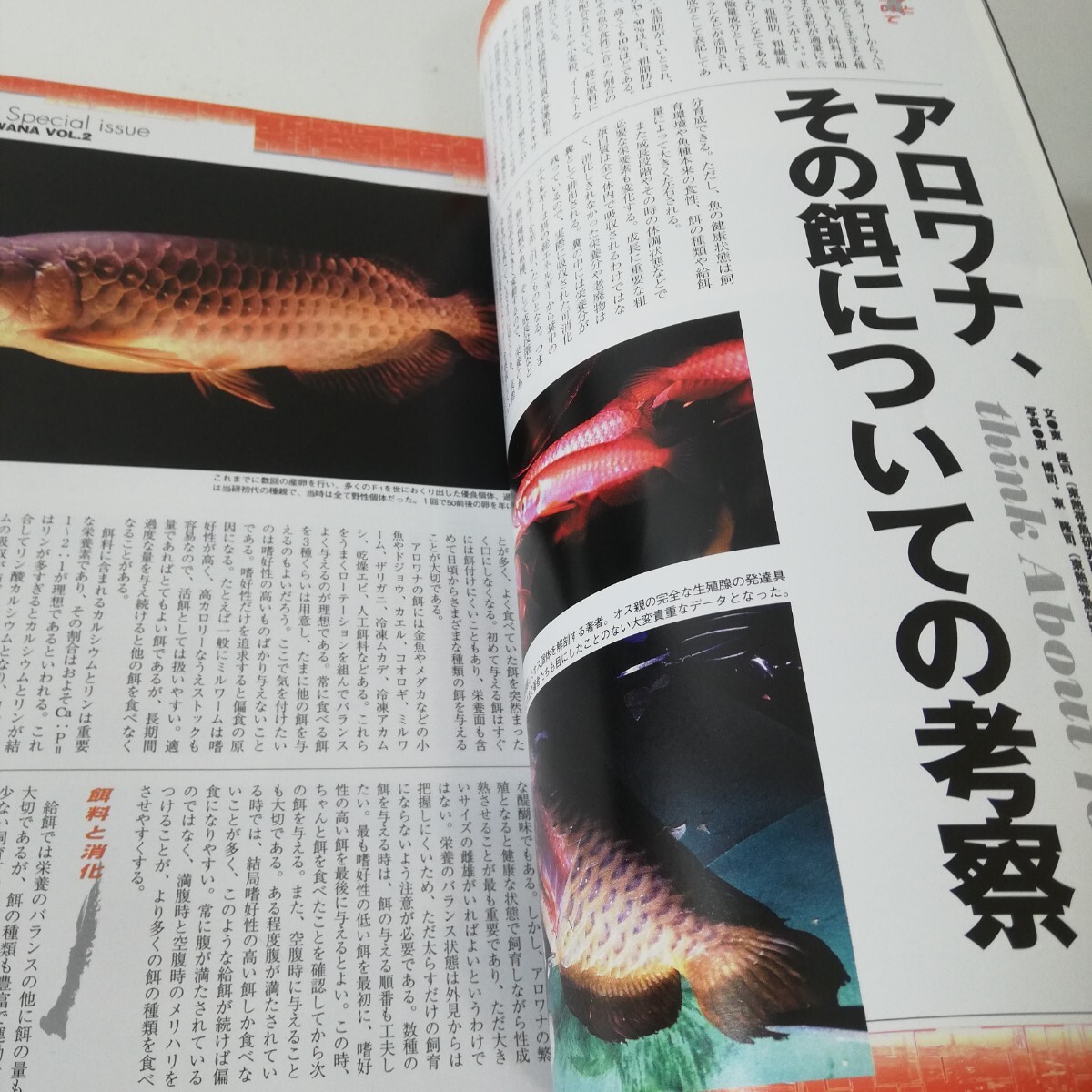 フィッシュマガジン 2005年1月号 龍魚万歳!!part2 ザ・ディスカス アジアアロワナ特集 ファーム 解剖 カタログ_画像9