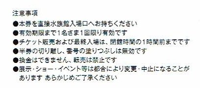 新江ノ島水族館 入館招待券 【24年6月30日まで】_画像2