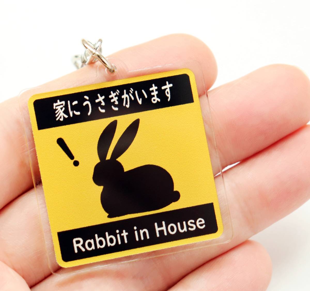 キーホルダー 家にうさぎがいます Rabbit in House ピクトグラム おもしろキーチェーン・キーリング アクリル製 ウサギの画像3