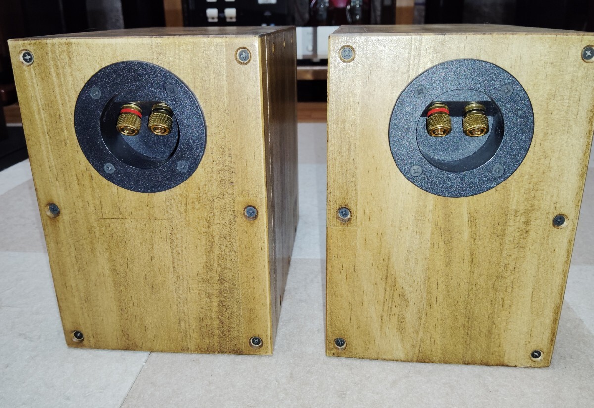 Tangband( tongue van )10 -inch titanium corn full range speaker W4-1337SDF enclosure original work 