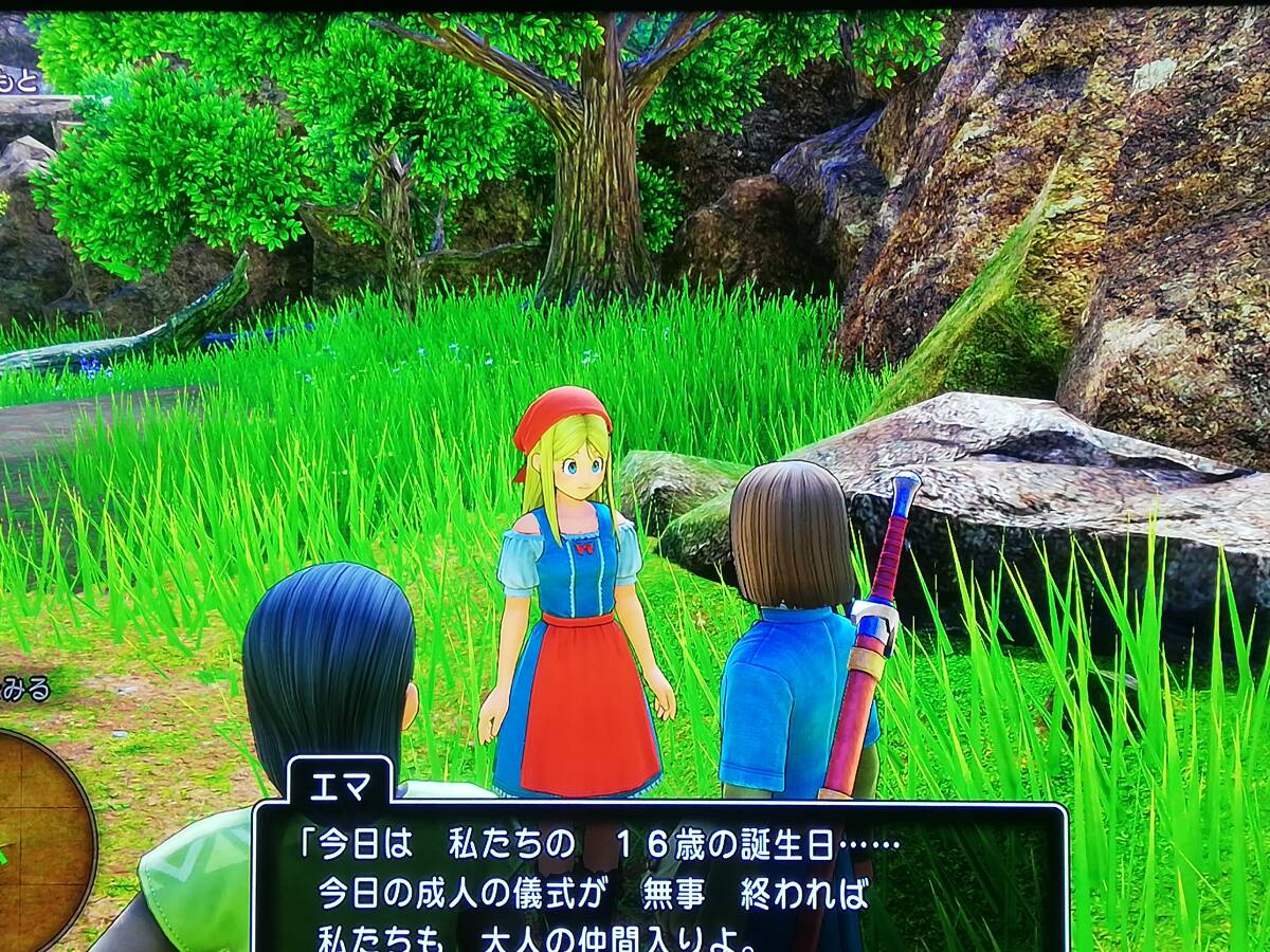 【即決&動作確認済】 ドラゴンクエストXI 過ぎ去りし時を求めて（DRAGON QUEST XI） / ドラクエ11 / RPG コマンドバトル / PS4ソフト 34