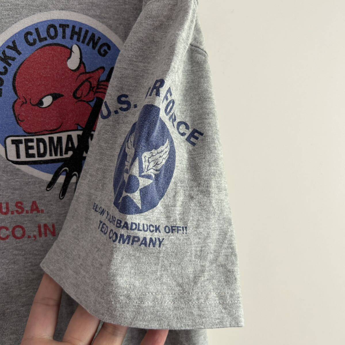 TED COMPANY テッドカンパニー テッドマン プリントTシャツ 44 バックプリント グレー _画像4