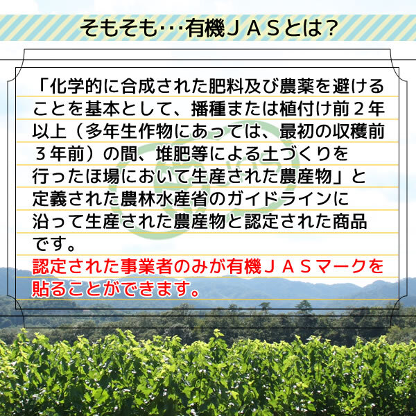 桑の葉茶 3g×35pc オーガニック 有機栽培 京都府産 国産 ティーバッグ メール便 送料無料_画像7