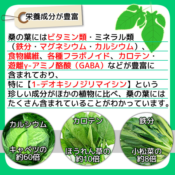 桑の葉パウダー 100g 桑の葉青汁 桑の葉茶 粉末 有機栽培 オーガニック 京都府産 国産 送料無料の画像5