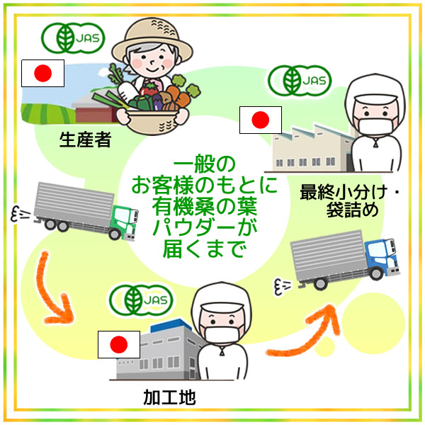 桑の葉パウダー 100g 桑の葉青汁 桑の葉茶 粉末 有機栽培 オーガニック 京都府産 国産 送料無料の画像10