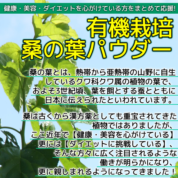 桑の葉パウダー 100g 桑の葉青汁 桑の葉茶 粉末 有機栽培 オーガニック 京都府産 国産 送料無料の画像4