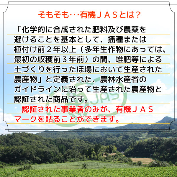 桑の葉パウダー 100g 桑の葉青汁 桑の葉茶 粉末 有機栽培 オーガニック 京都府産 国産 送料無料の画像7