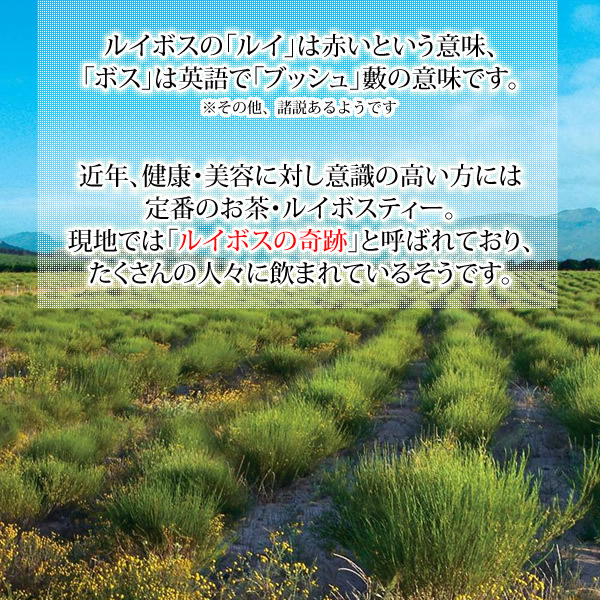 ルイボスティー オーガニック 有機栽培 5g×50包 メール便 送料無料 セール特売品の画像5