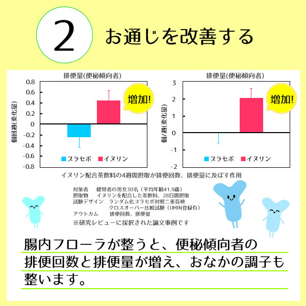 機能性表示食品 イヌリン 500g 水溶性食物繊維 メール便 送料無料 お通じ改善 腸内フローラ改良 整腸作用 中性脂肪対策 血糖値対策に！の画像9