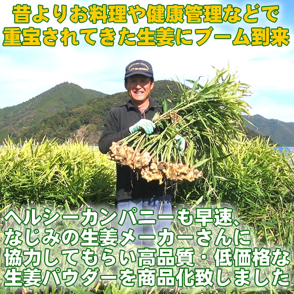 生姜 粉末 しょうが パウダー 100ｇ 高知県産ウルトラ生姜 殺菌蒸し工程 1cc計量スプーン入り メール便 送料無料の画像5