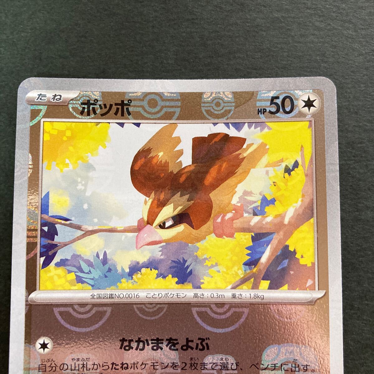 ポケモンカード　ポッポ　マスターボールミラー _画像2