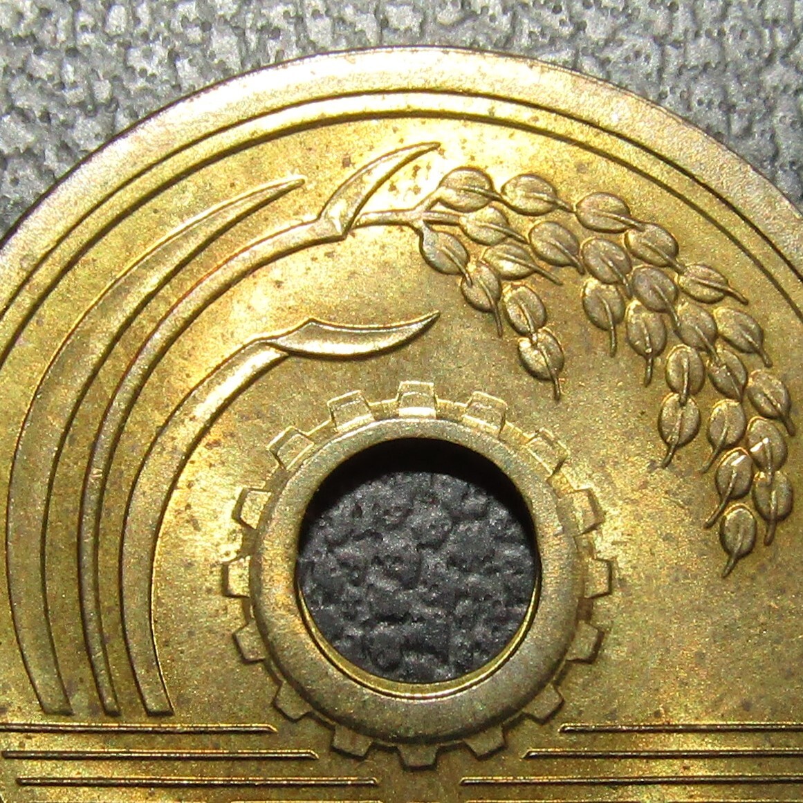 5円黄銅貨 昭和34年 準未使用～未使用-の画像6