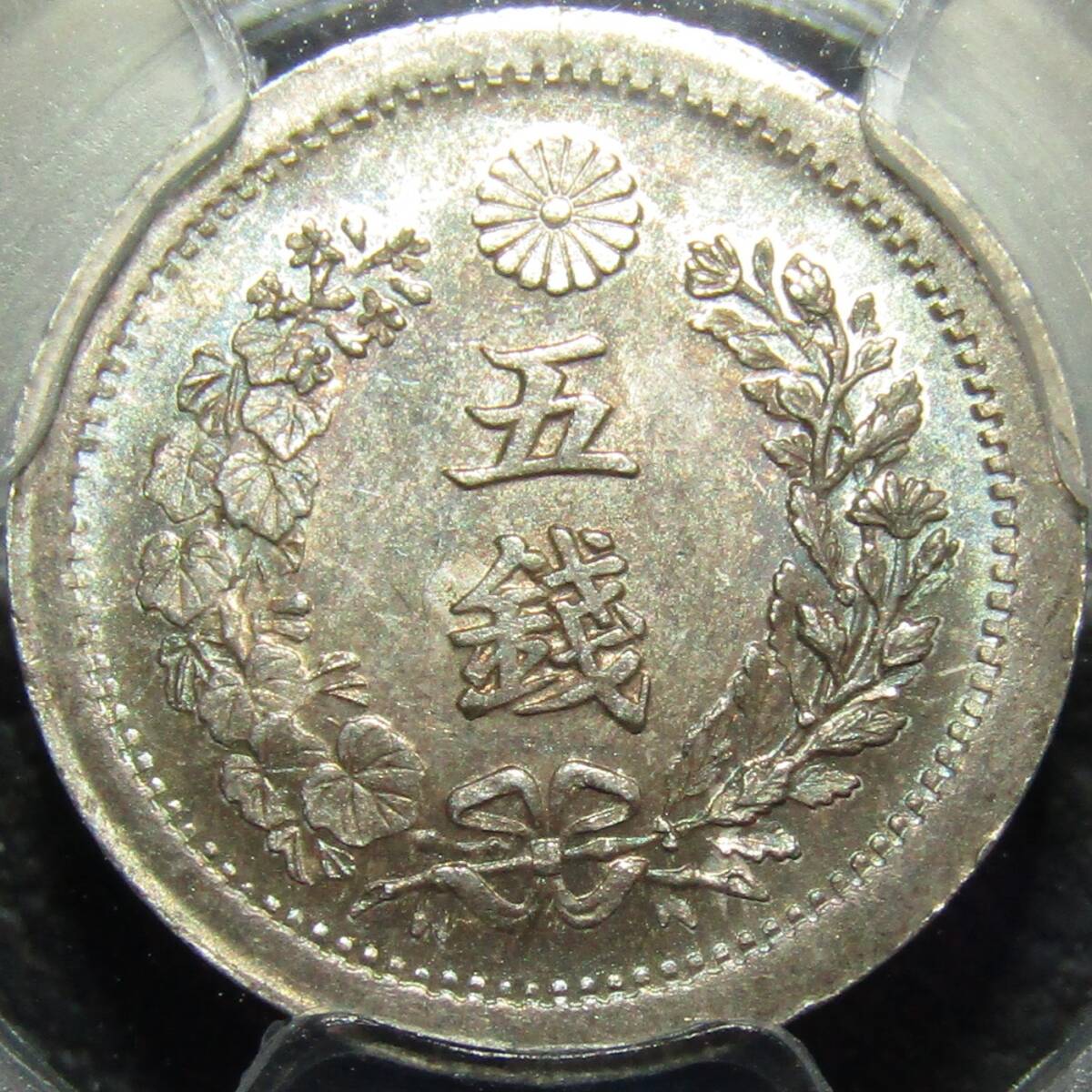 竜5銭銀貨 明治6年 トメ明 PCGS MS64の画像4