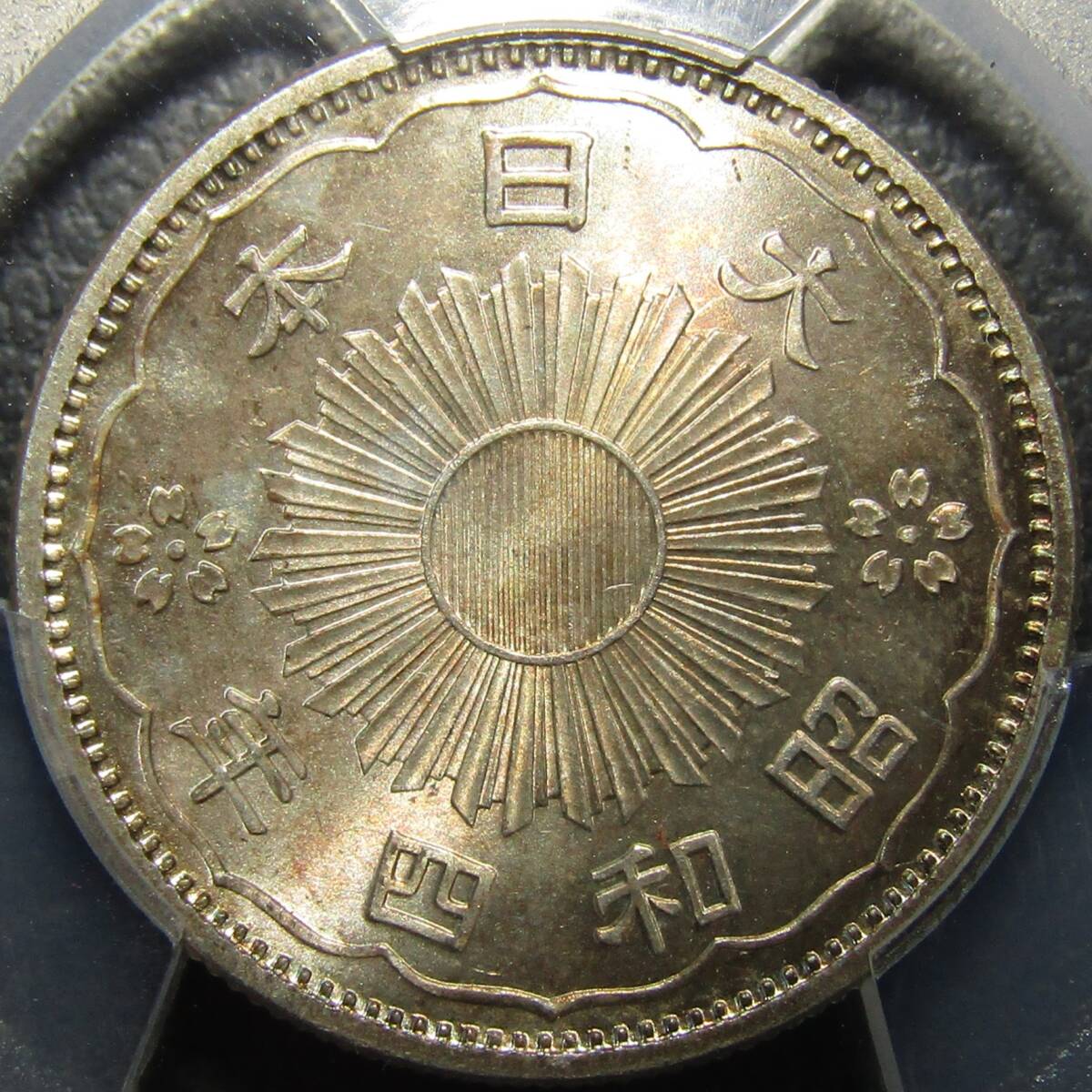 小型50銭銀貨 昭和4年 PCGS MS66の画像3