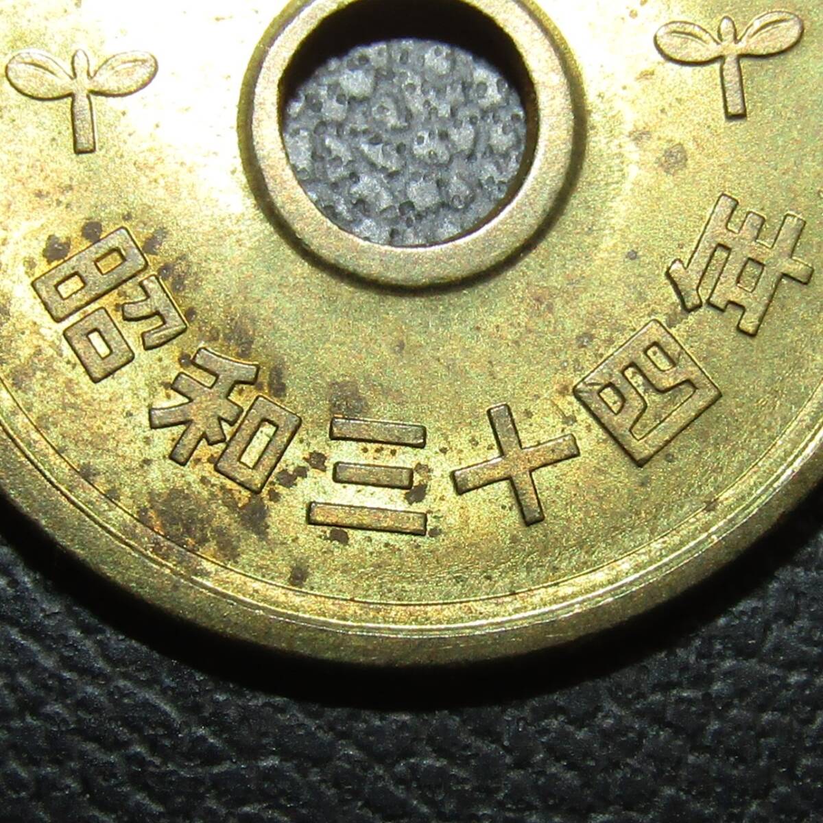 5円黄銅貨 昭和34年 準未使用～未使用-の画像4