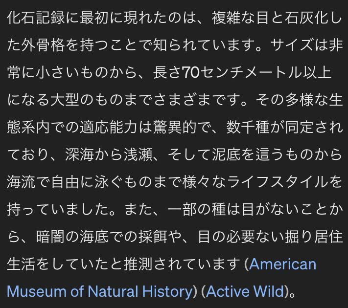 レア・美品：カンブリア紀初期 三葉虫化石 幼少かつ臨戦態勢時の貴重な物 5億年以上の地球の歴史を今に伝える の画像8