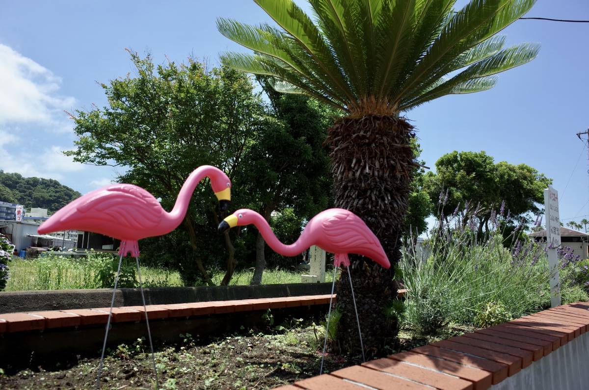  new goods pink flamingo 2 body set America made gardening Setagaya base interior american house 