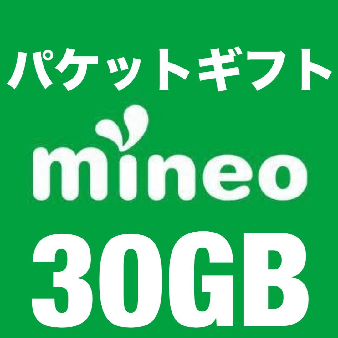 mineo パケットギフトコード 30GB (9999MBx3) マイネオの画像1