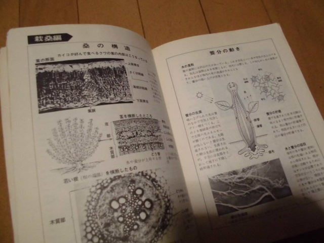 図解・蚕業読本　　蚕糸の光編集部発行　　　_画像5