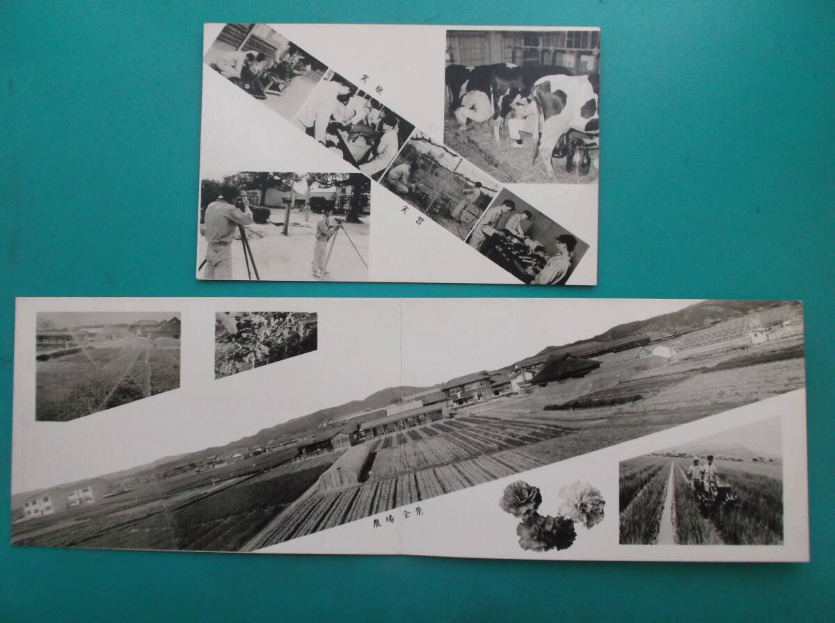 item_image_10