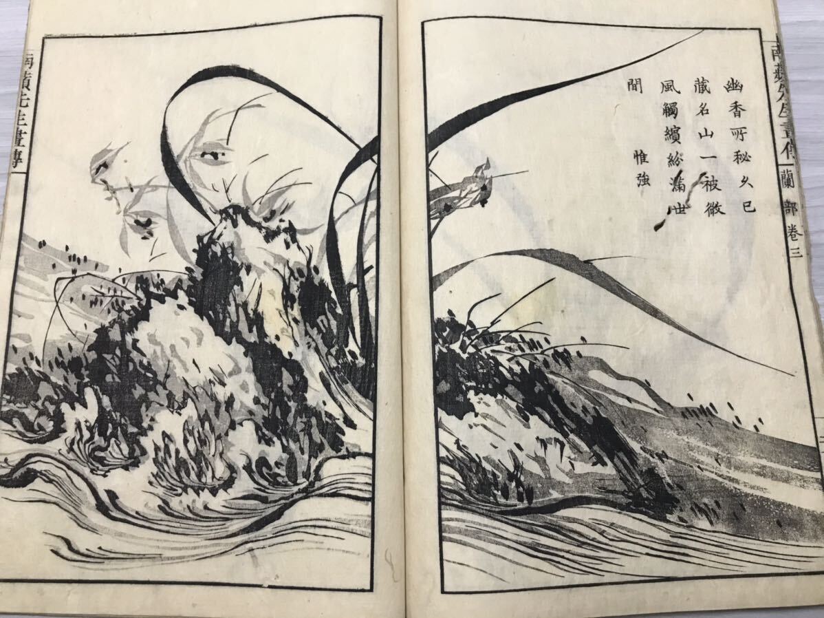 蘭斎画譜　竹部蘭部　大本2冊　森蘭斎画　江戸時代 享和元年1801年刊　南蘋派 沈南蘋 南蘋先生画伝 絵手本 木版画 唐本 和本 古書 古典籍 _画像6