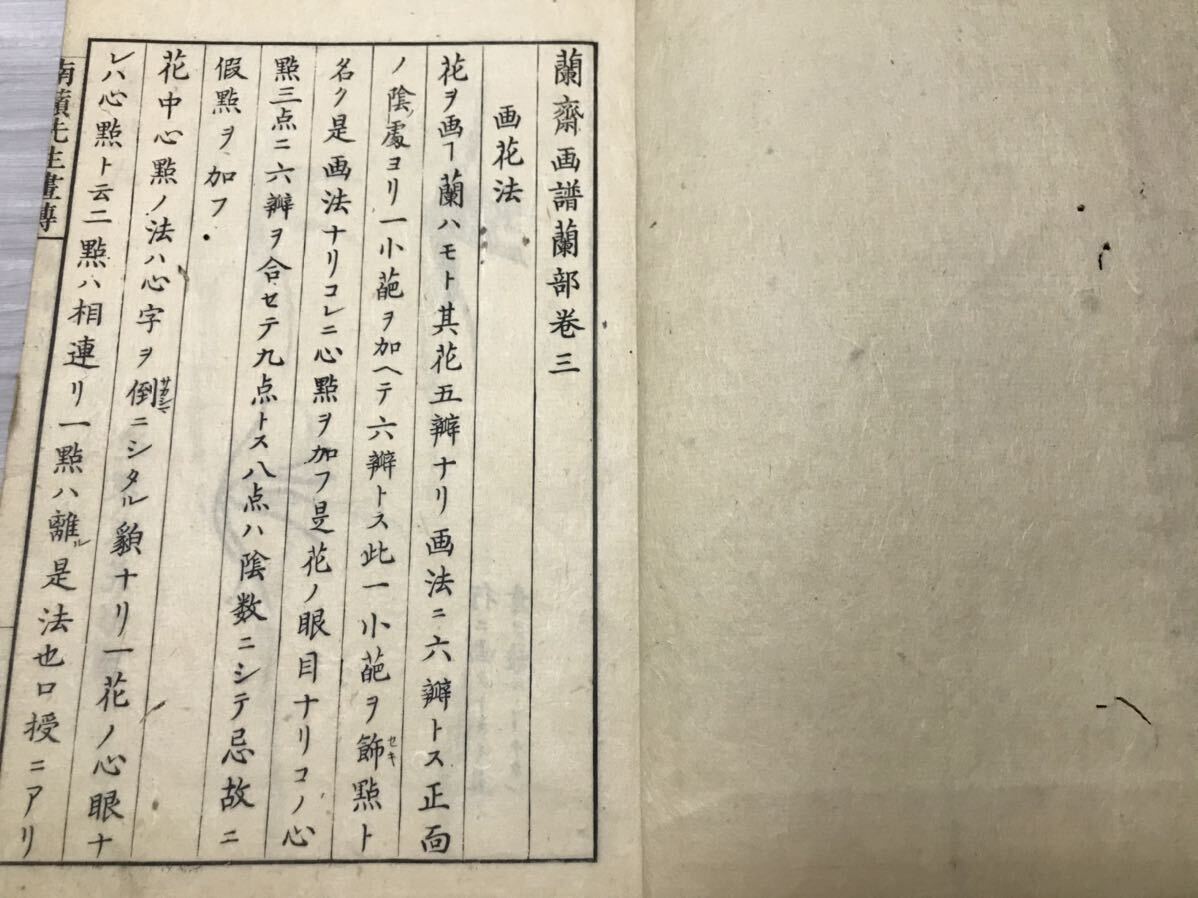 蘭斎画譜　竹部蘭部　大本2冊　森蘭斎画　江戸時代 享和元年1801年刊　南蘋派 沈南蘋 南蘋先生画伝 絵手本 木版画 唐本 和本 古書 古典籍 _画像7