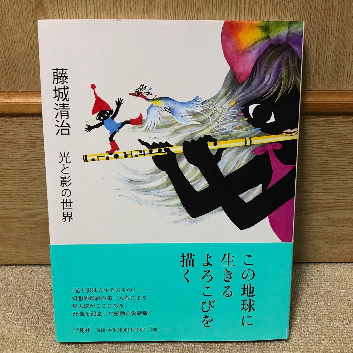 藤城清治 光と影の世界 愛蔵版 平凡社