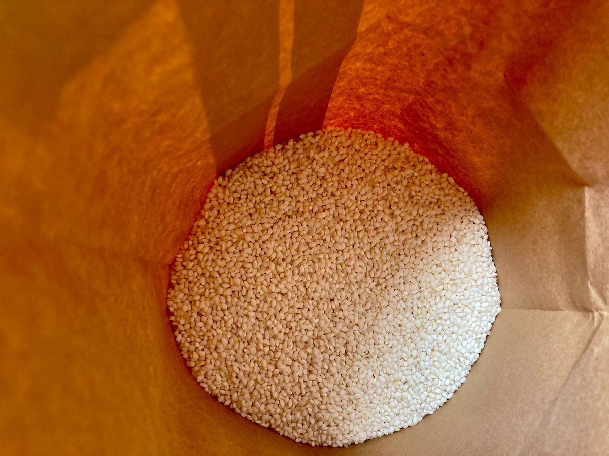 もち米　R5年度千葉県産減農薬米　5ｋｇ　5キロ　餅米