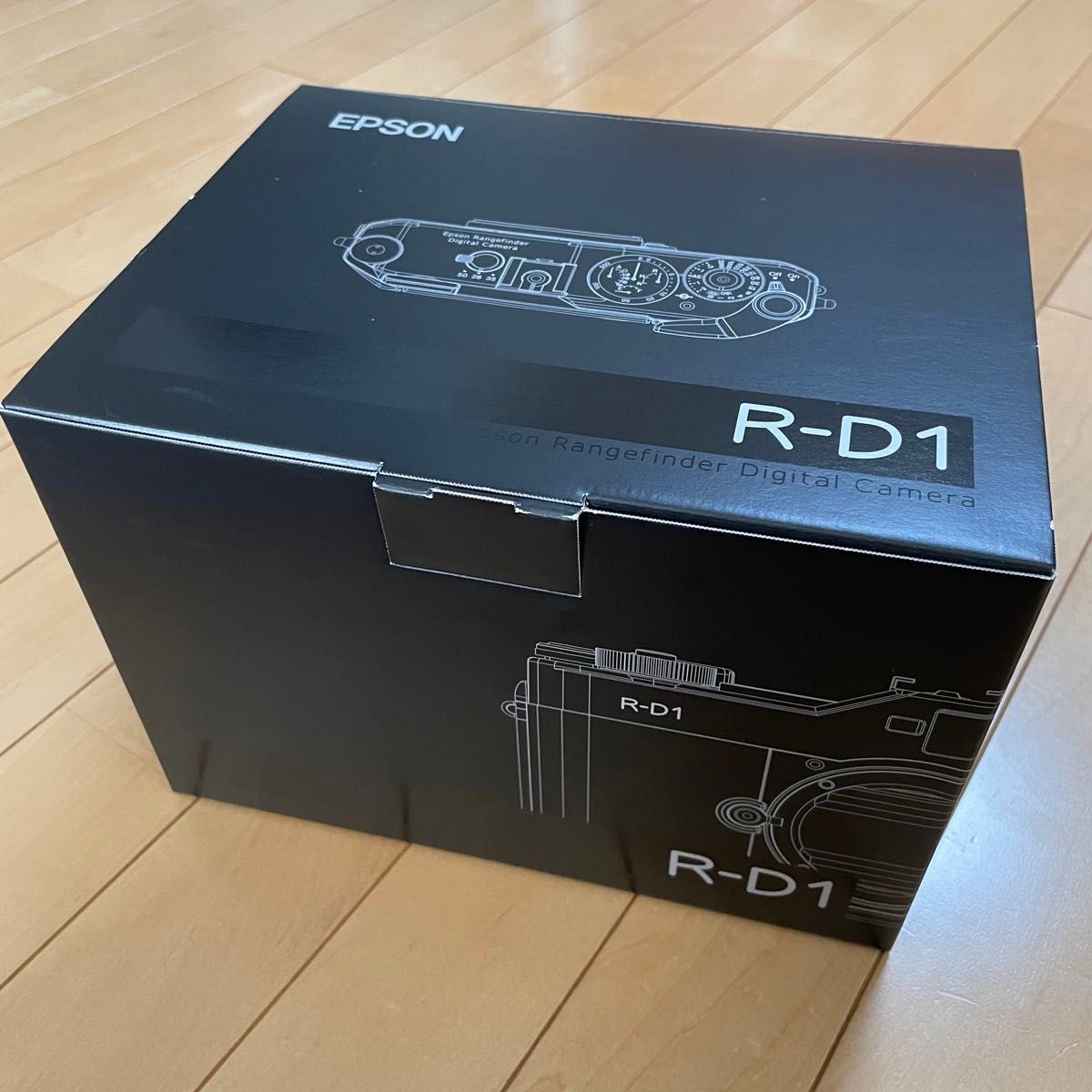 EPSON R-D1 